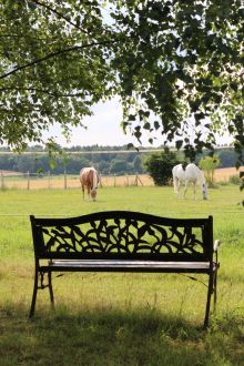 Koppelblick