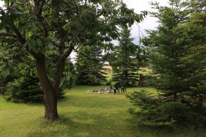 Gartenblick Gartenblick